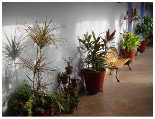 Suitel 522 Eco Hostel Mazatlan Exterior photo