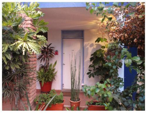 Suitel 522 Eco Hostel Mazatlan Exterior photo