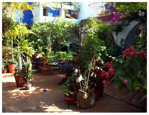 Suitel 522 Eco Hostel Mazatlan Exterior photo