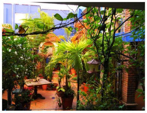 Suitel 522 Eco Hostel Mazatlan Exterior photo